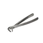 DENTAL FORCEPS